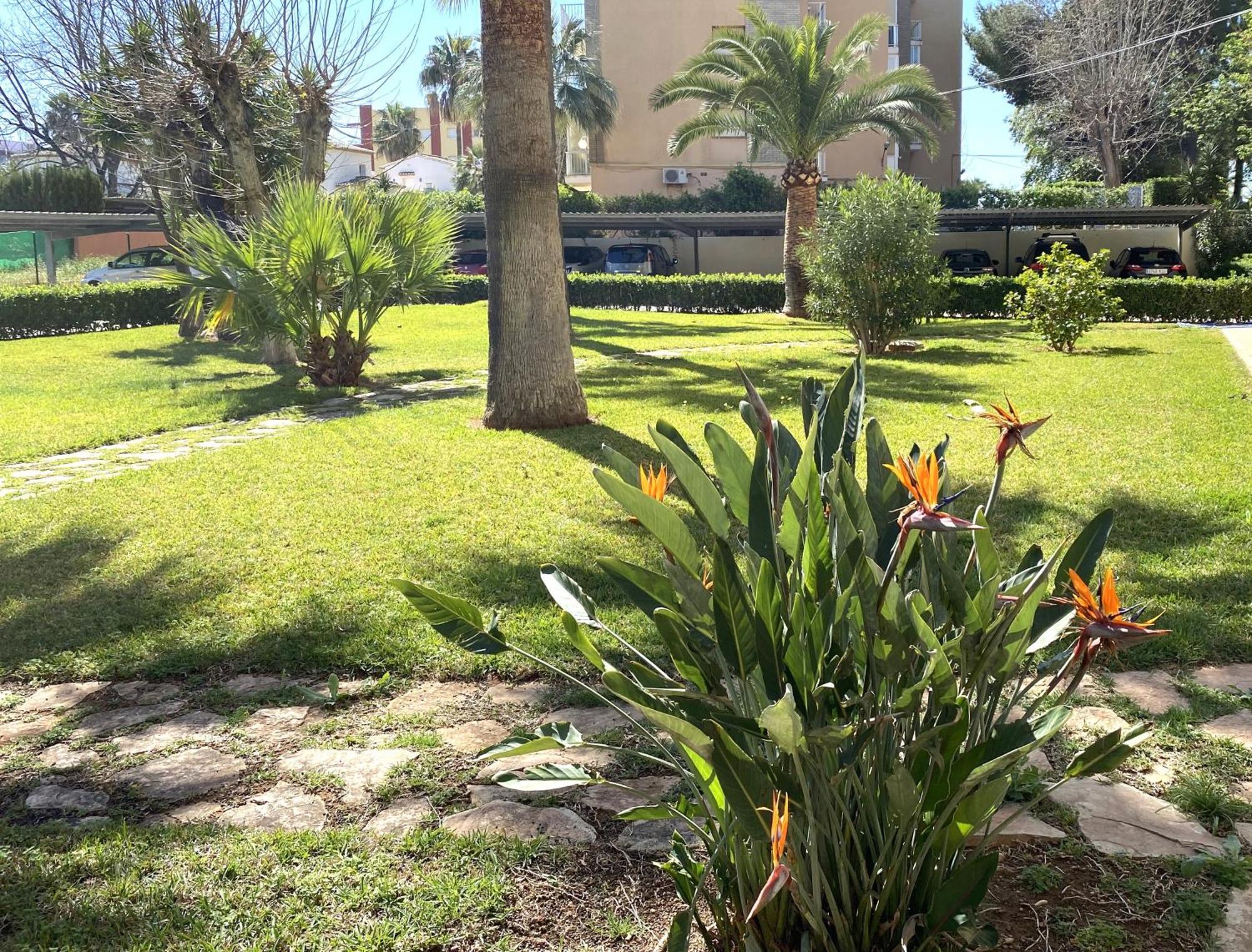 Denia, Playa Els Molins 100m * Dénia